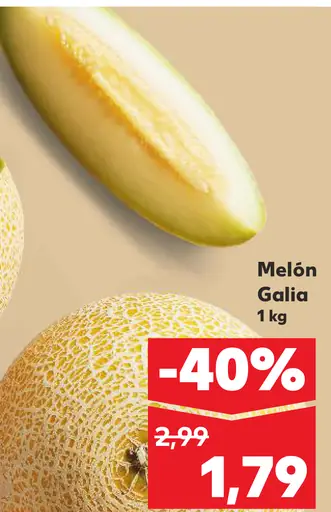 Melón Gália