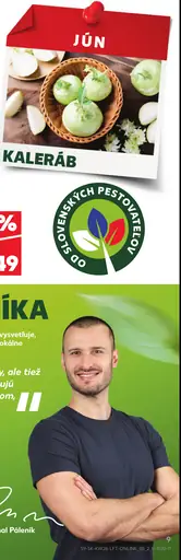 Slovenský kaleráb