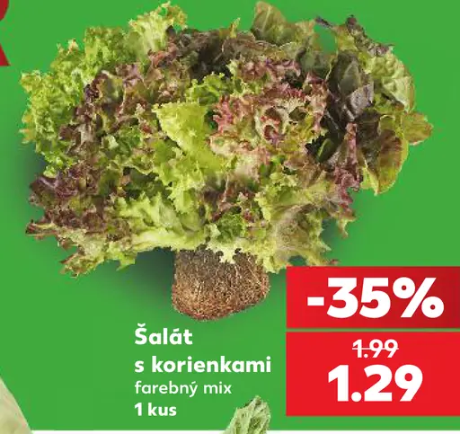 Šalát s korienkami farebný mix čerstvá zelenina