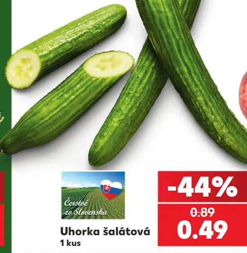 Uhorka šalátová