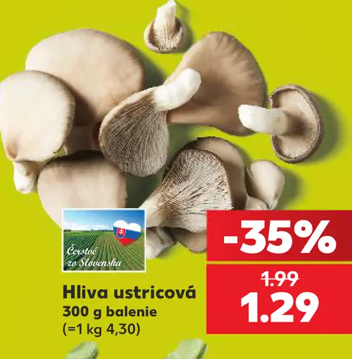 Hliva ustricová