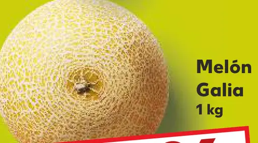 Melón Gália