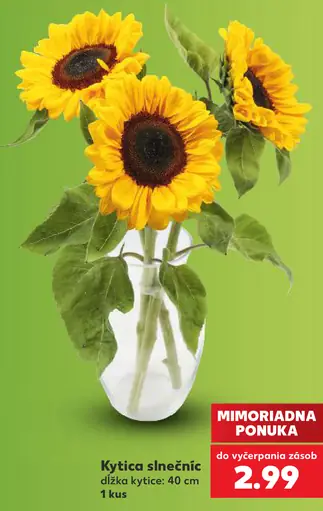 Kytica slnečníc, dĺžka kytice 40 cm