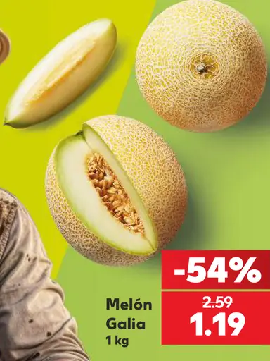 Melón Gália