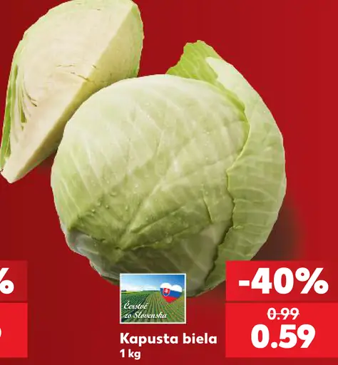 Kapusta biela