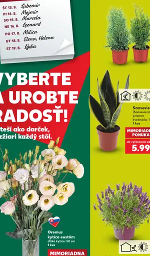 Levanduľa úzkolistá