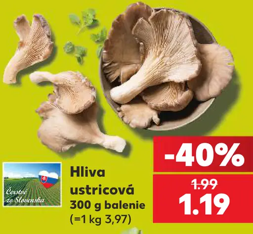 Hilva hliva ustricová