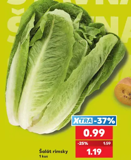 Šalát rímsky