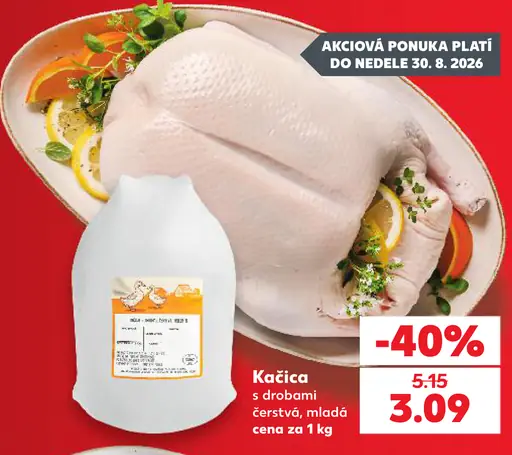 Kačica s drobami mladá