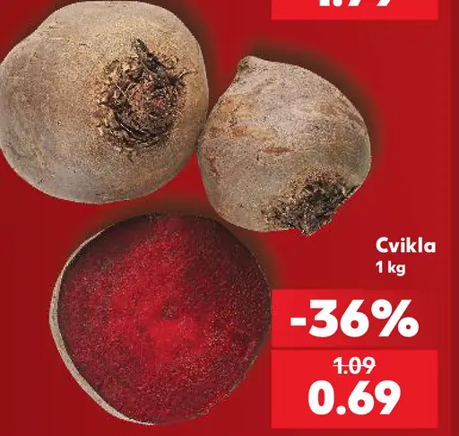 Cvikla