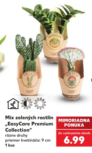 Mix zelených rastlín „EasyCare Premium Collection“
