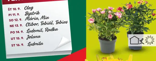 Kytica chryzantém s ružami