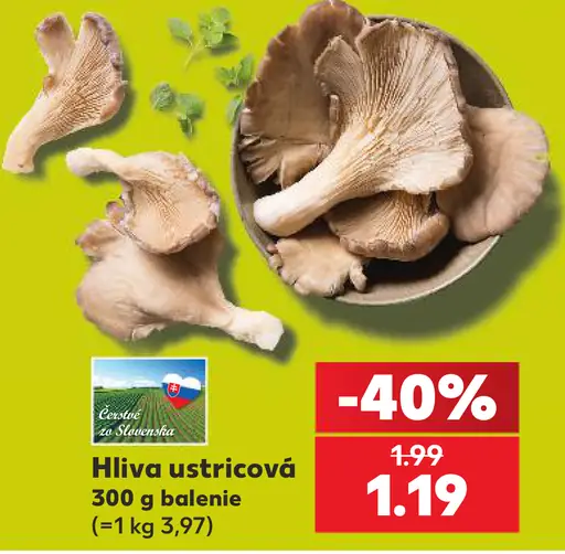 Hliva ustricová