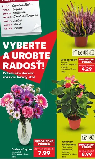 Darčeková kytica rôzne druhy
