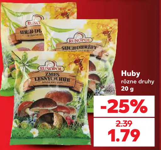 Runopol Zmes lesných húb