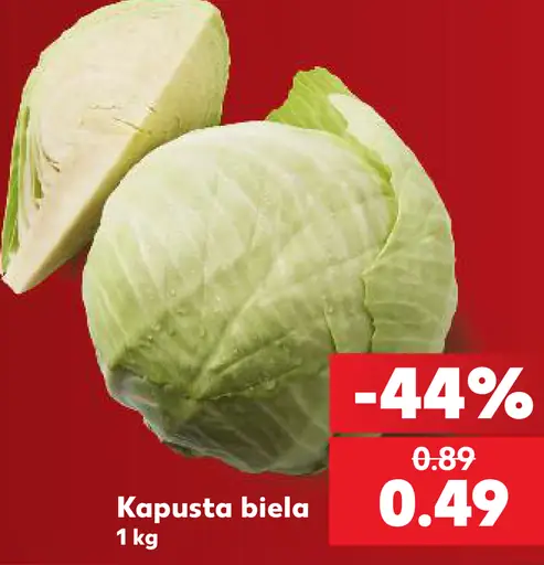 Kapusta biela