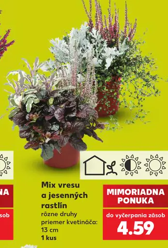 Mix vresu a jesenných rastlín