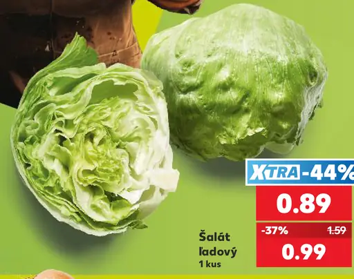 Šalát ľadový