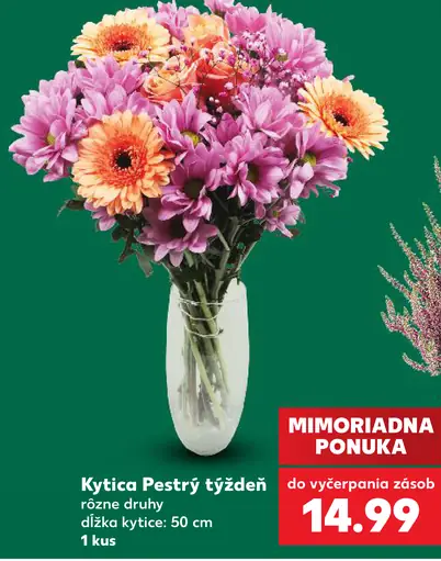 Kytica Pestrý týždeň, rôzne druhy, dĺžka kytice 50 cm