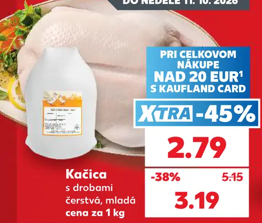 Kačica s drobkami
