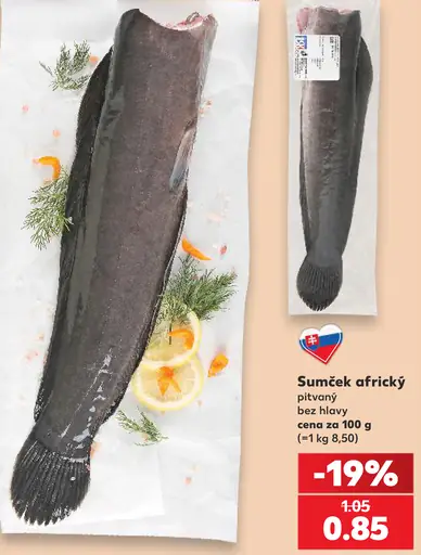 Sumček africký pitvaný bez hlavy