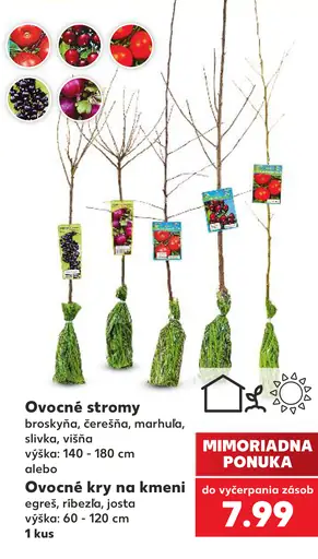 Ovocné stromy – broskyňa, čerešňa, marhuľa, slivka, višňa