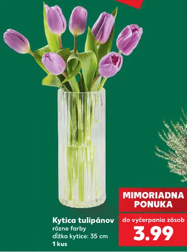 Veľká kytica tulipánov