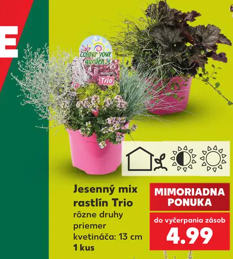 Jesenný mix rastlín trio