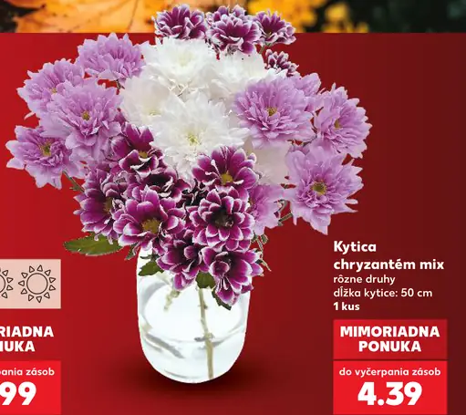 Kytica chryzantém mix