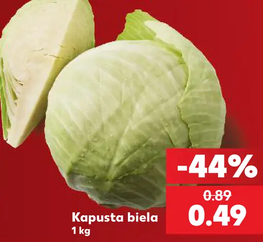 Kapusta biela