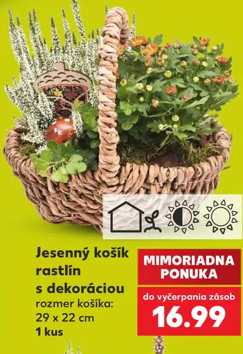 Jesenný košík rastlín s dekoráciou