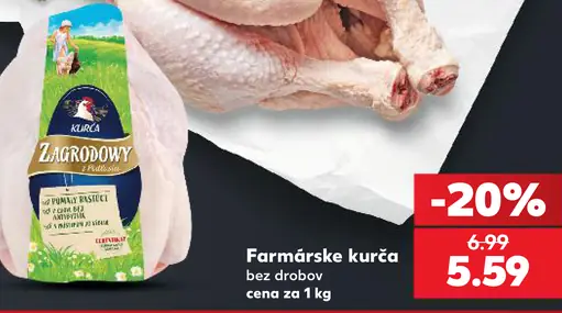 Zagrodowy farmárske kura bez drobov