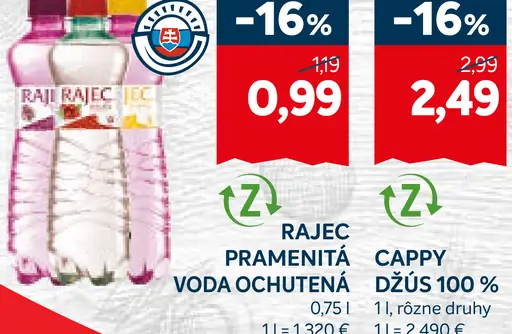 Rajec Pramenitá voda sýtená