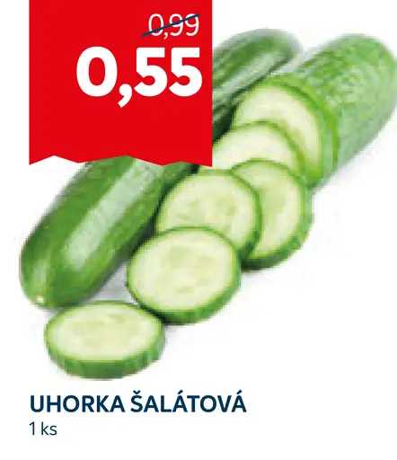 Uhorka šalátová