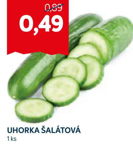 Uhorka šalátová