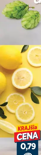 Steiger Radler nealkoholické pivo