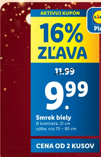 Smrek biely