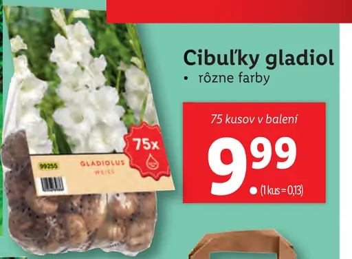 Cibuľky gladiol