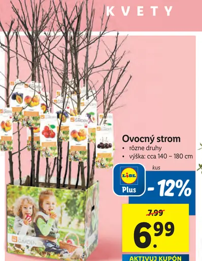 Ovocný strom
