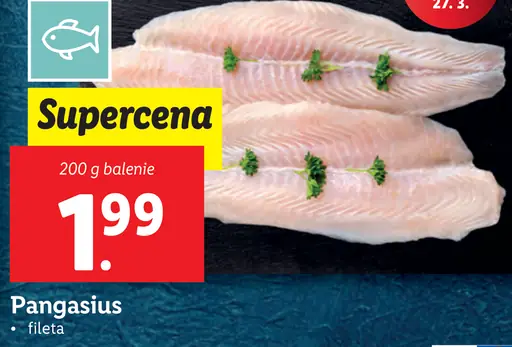 Pangasius fileta