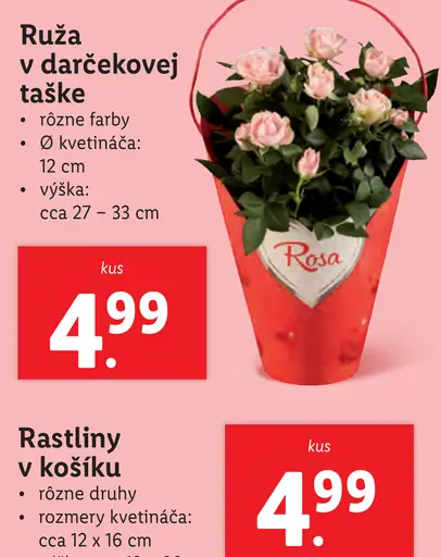 Ruže v darčekovej taške