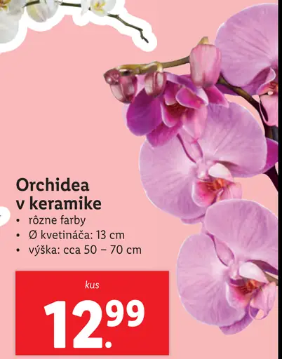 Orchidea v keramike