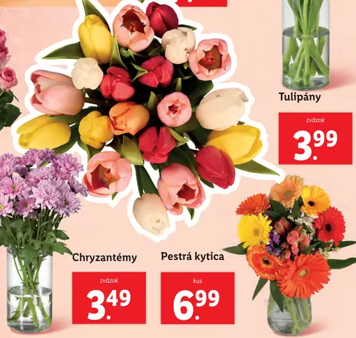 Tulipány
