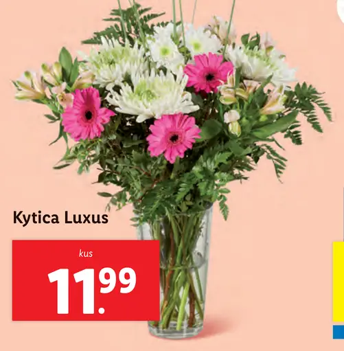 Kytica Luxus