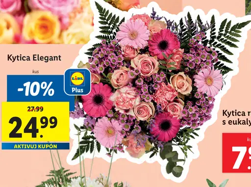 Kytica Elegant