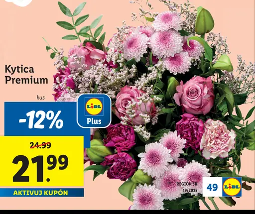 Kytica Premium