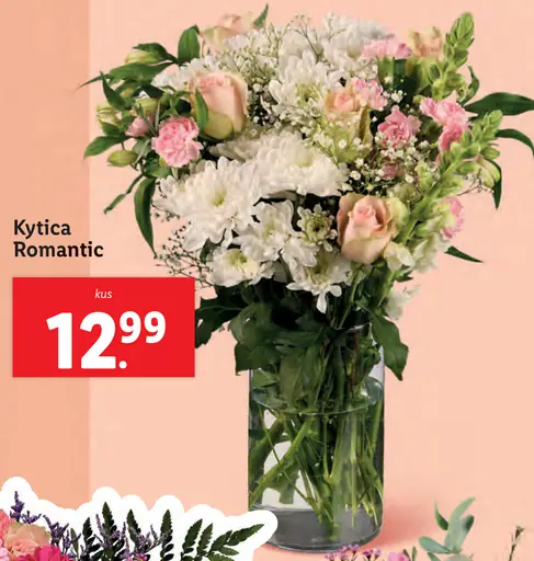 Kytica Romantic