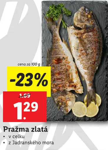 Pražma zlatá