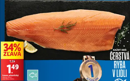 Losos atlantický