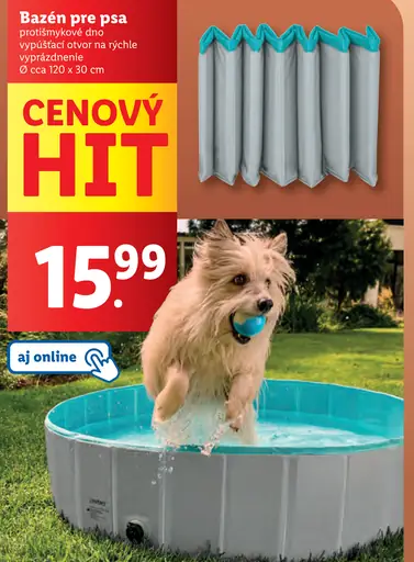 Protišmykový bazén pre psa